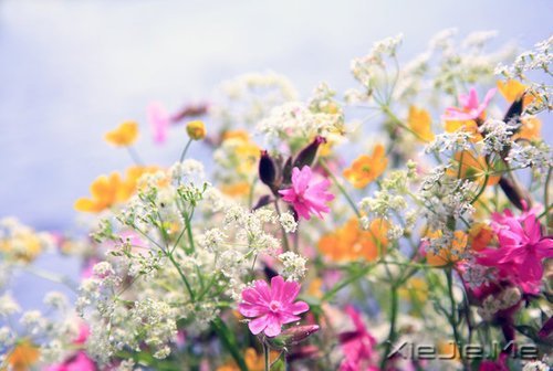 �簲������ʱ����Ե��ˣ�һ��Ҳ�Ͳ������ (3)