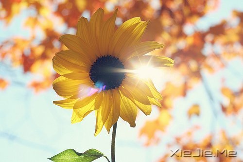 ����������������У����������� (7)
