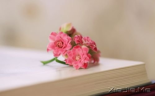 �簲���������һ��������Ը������� (5)
