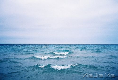 晚安心语:把手放开,你得到的是一切 (5)