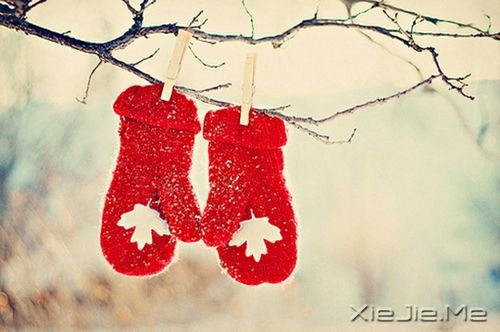 �簲��������Լ���������ֱ�� (3)