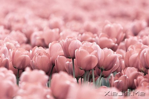 大学四年要学会的五十件事